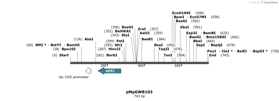135401_map