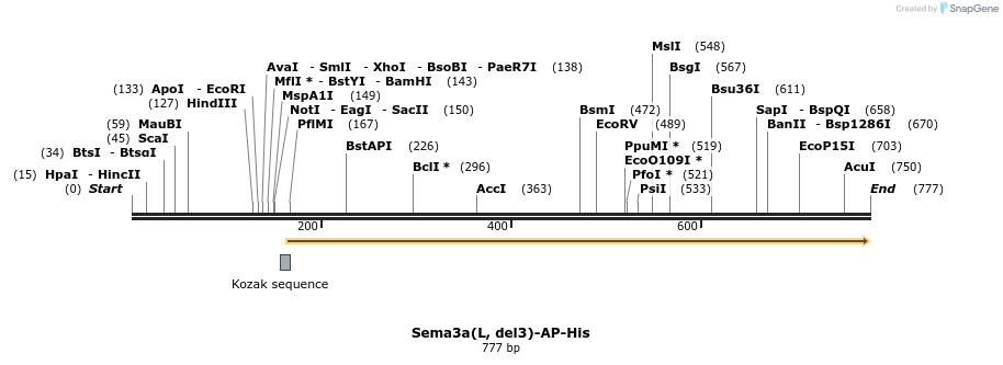 135410_map