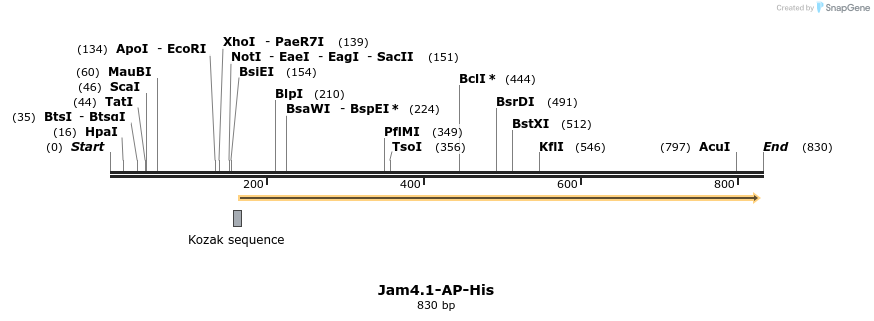 135417_map