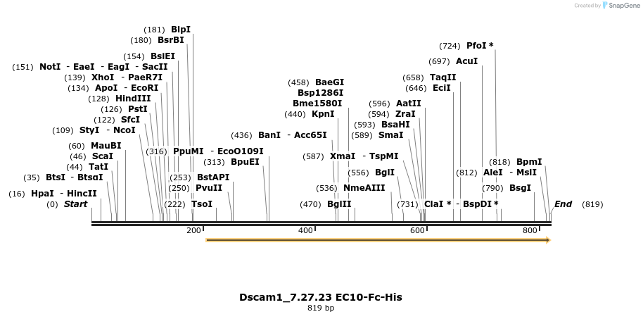 135423_map