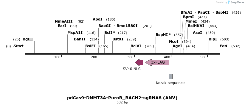 135434_map