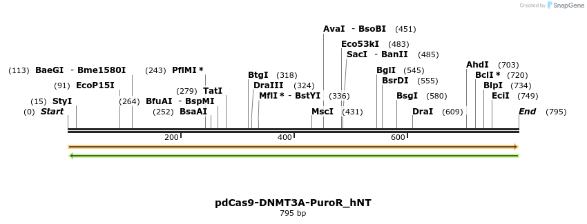 135436_map