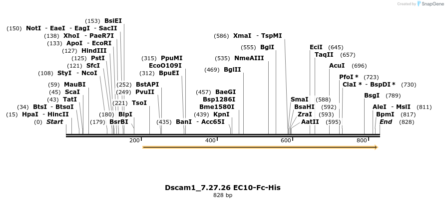 135438_map