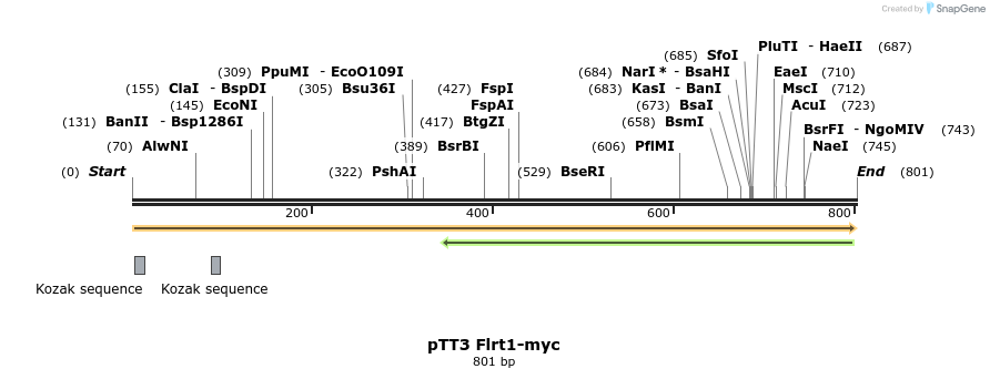135440_map