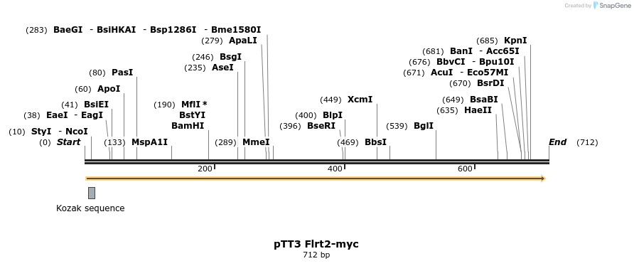 135441_map