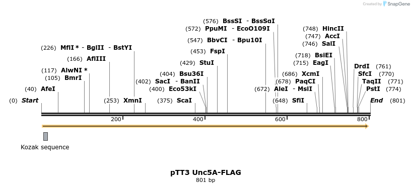 135449_map