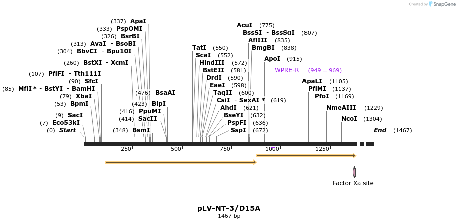 135451_map