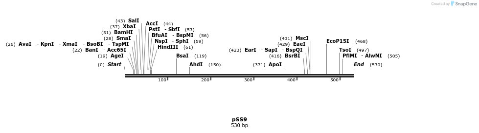 135456_map