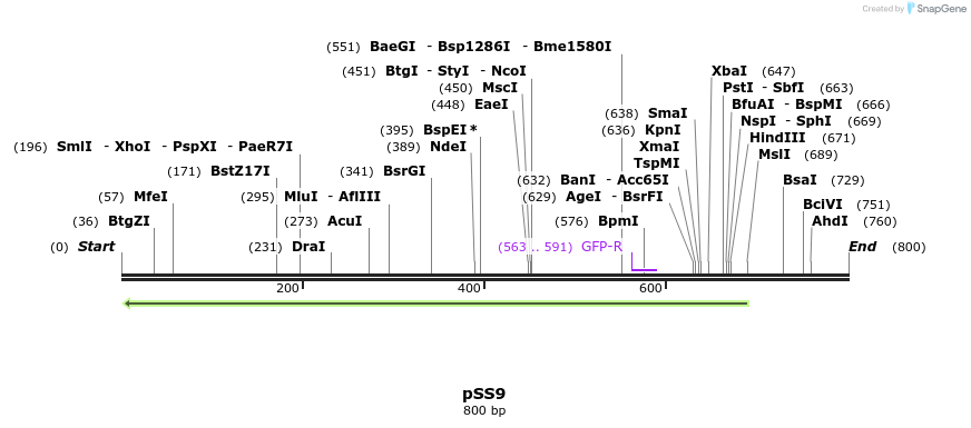 135458_map