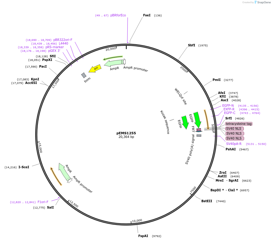 13546_map