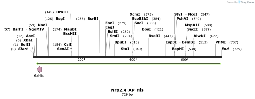 135463_map
