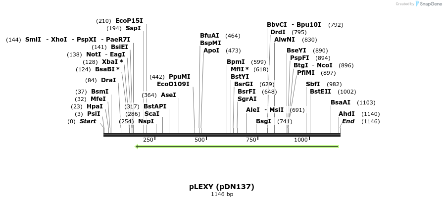 135492_map