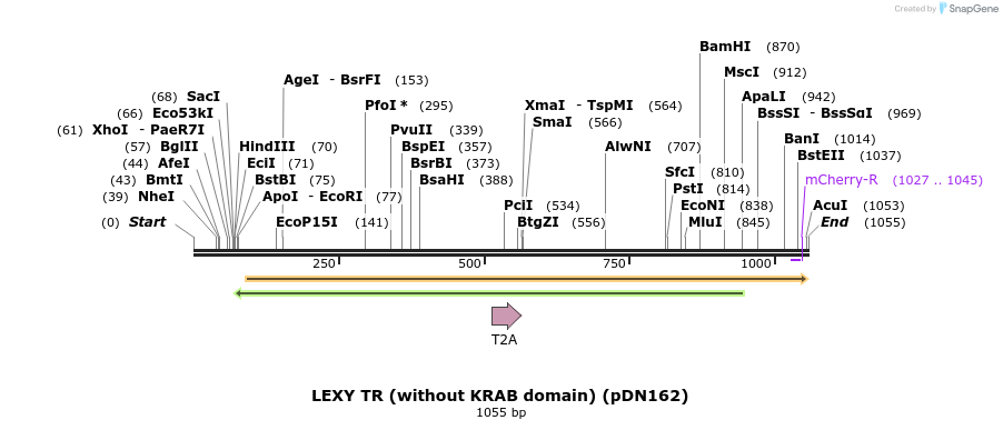 135503_map