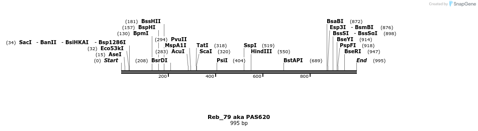 135505_map