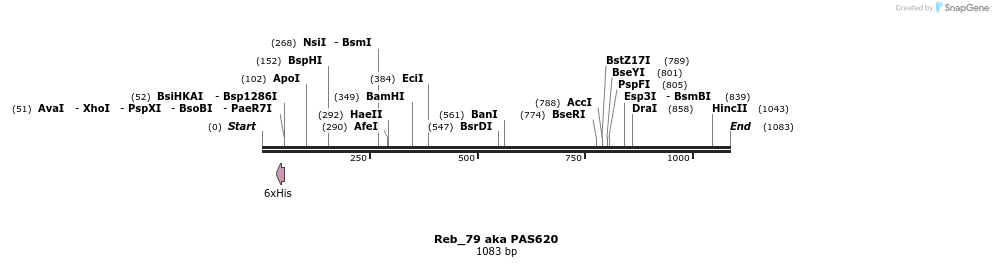 135506_map