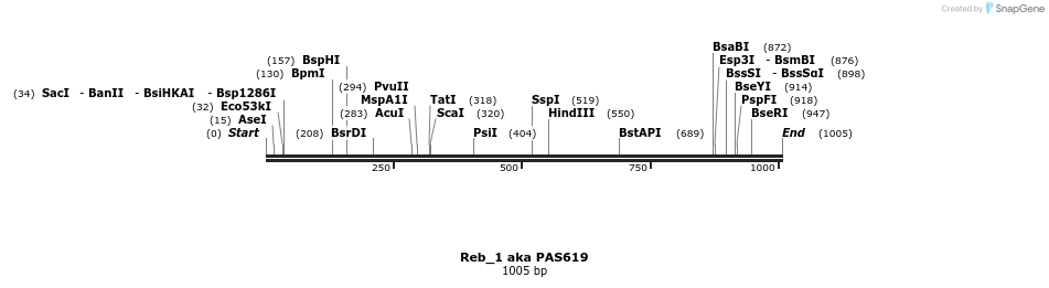 135507_map