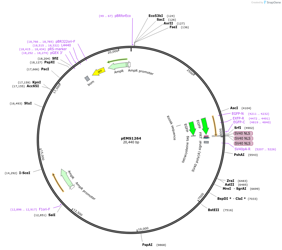 13551_map