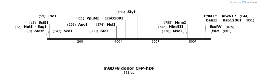 135511_map
