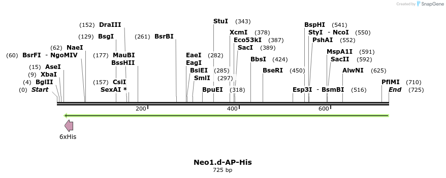 135513_map