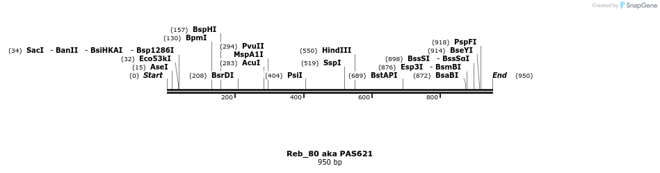 135514_map