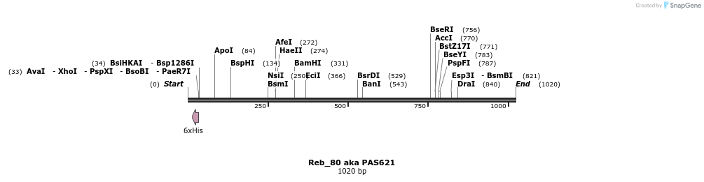 135515_map