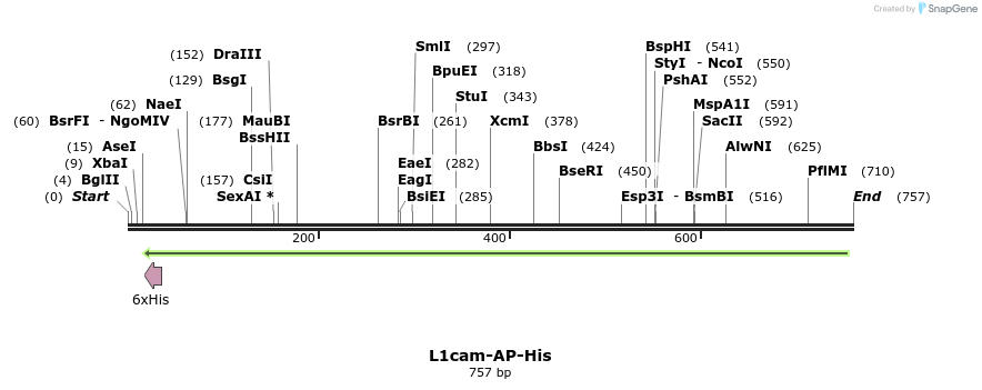 135516_map