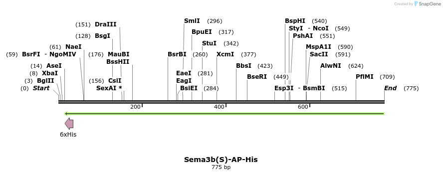 135521_map