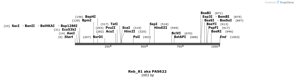 135528_map