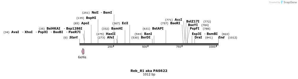 135529_map