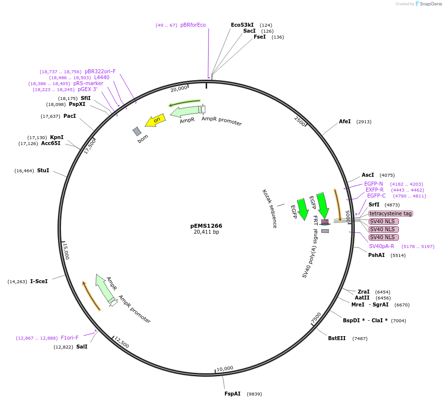 13553_map
