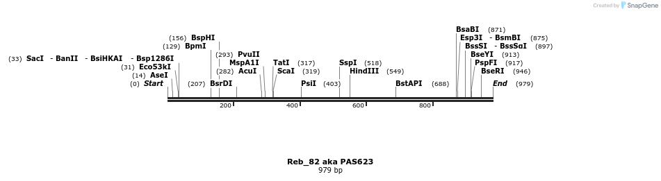 135531_map