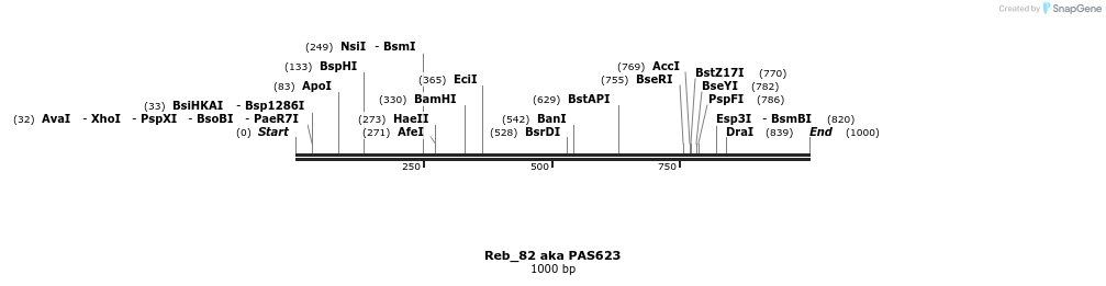 135532_map