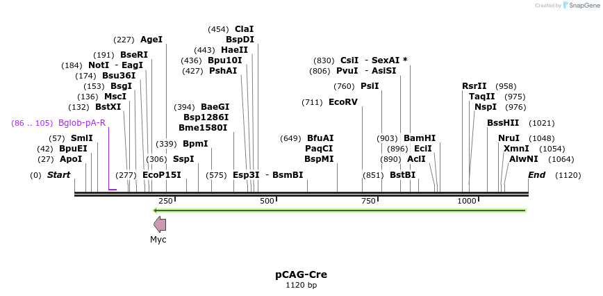 135535_map