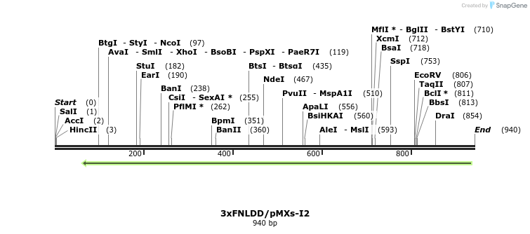 135546_map