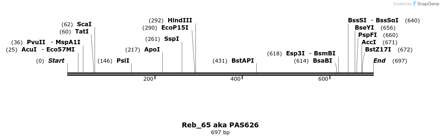 135551_map
