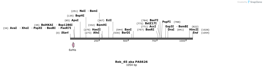 135552_map