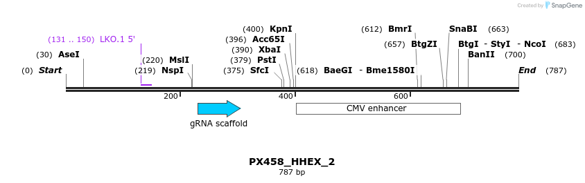 135553_map