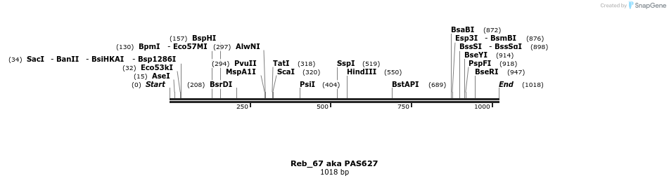 135558_map