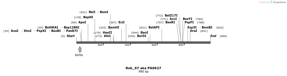 135559_map