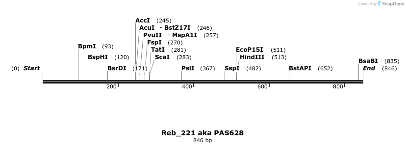 135560_map