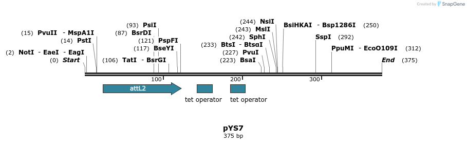 135562_map