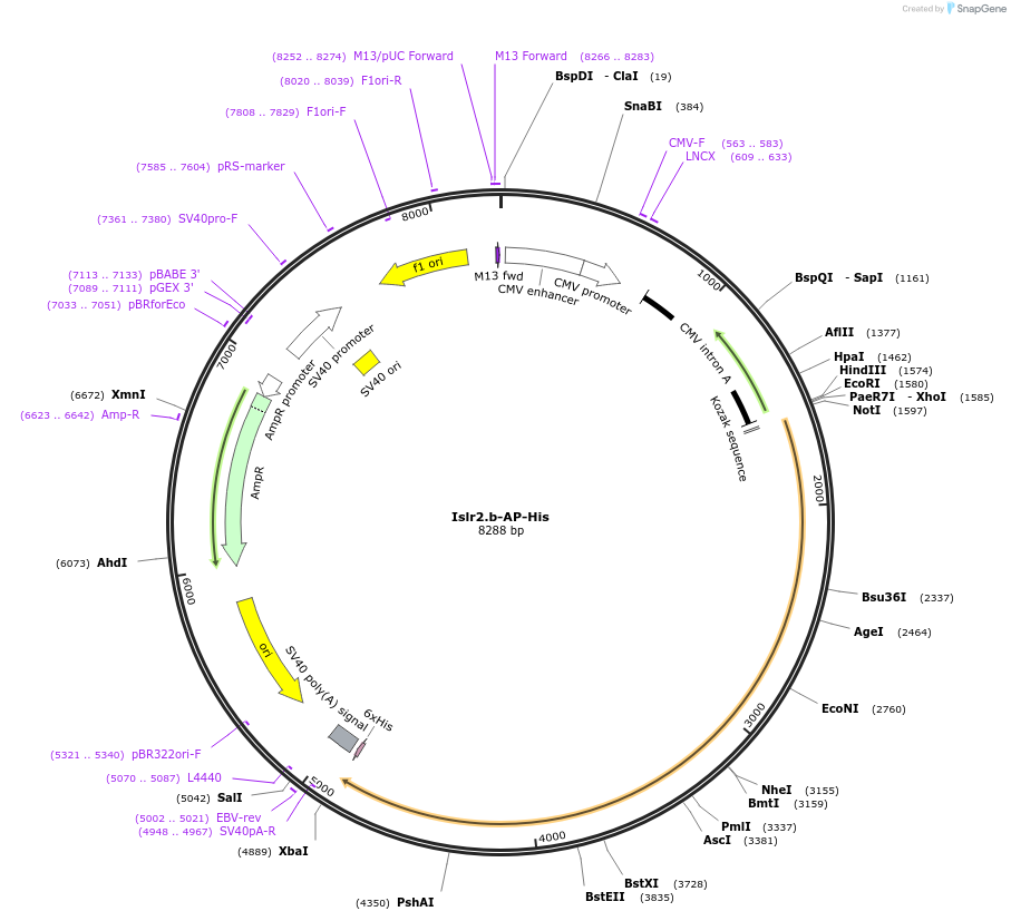 135571_map