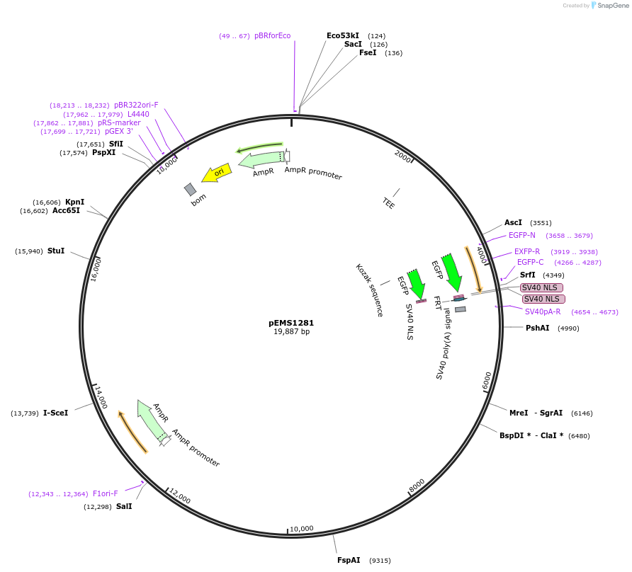 13558_map