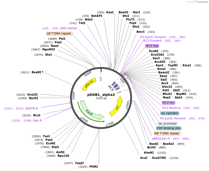 135590_map