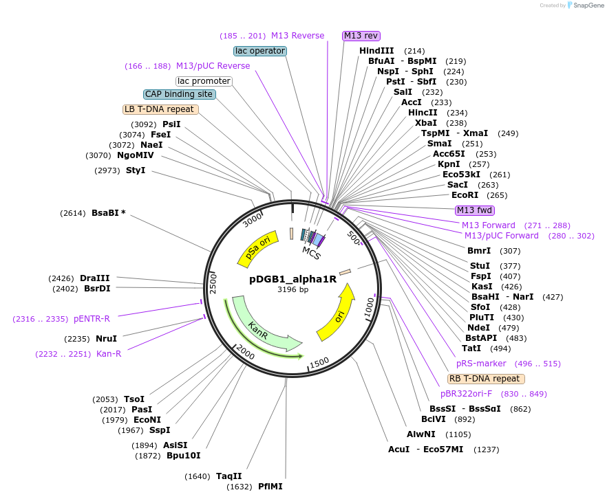 135592_map