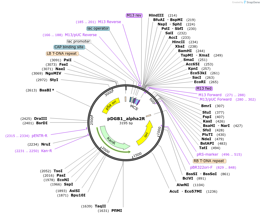 135594_map