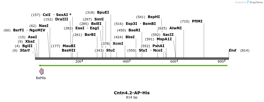 135598_map