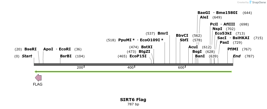 135602_map