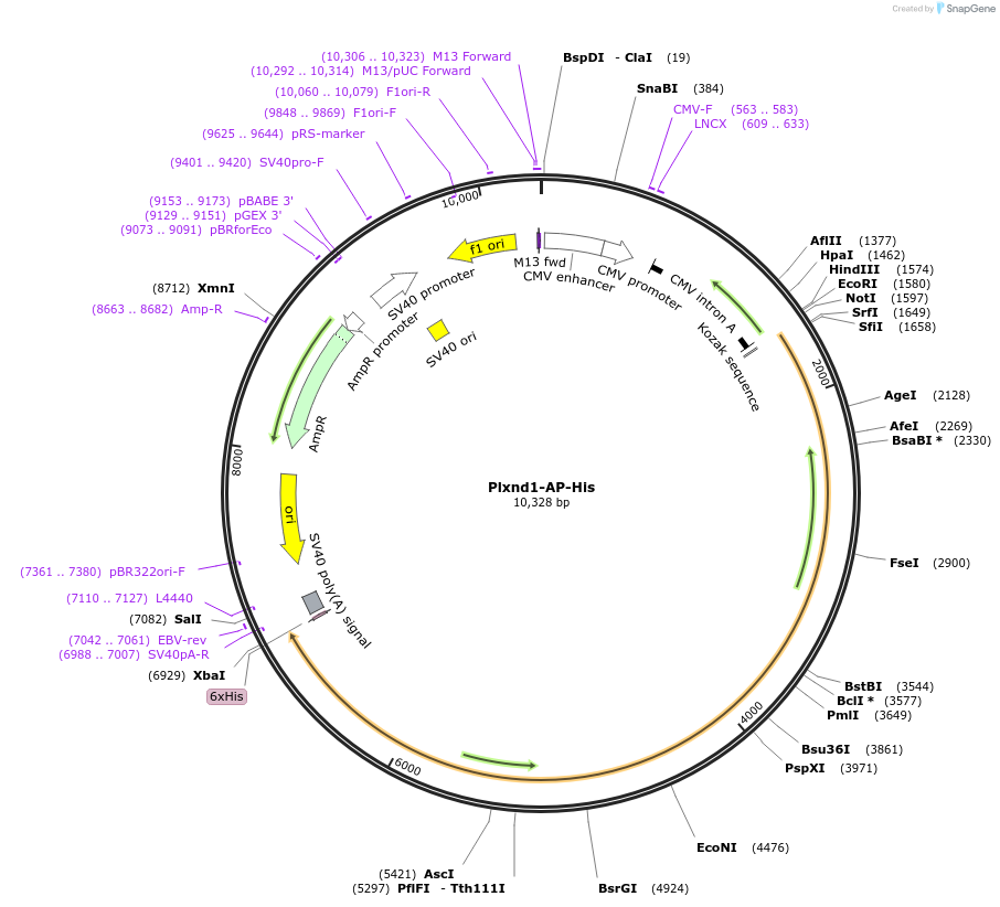 135603_map