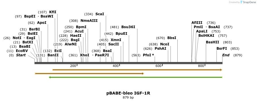 135605_map